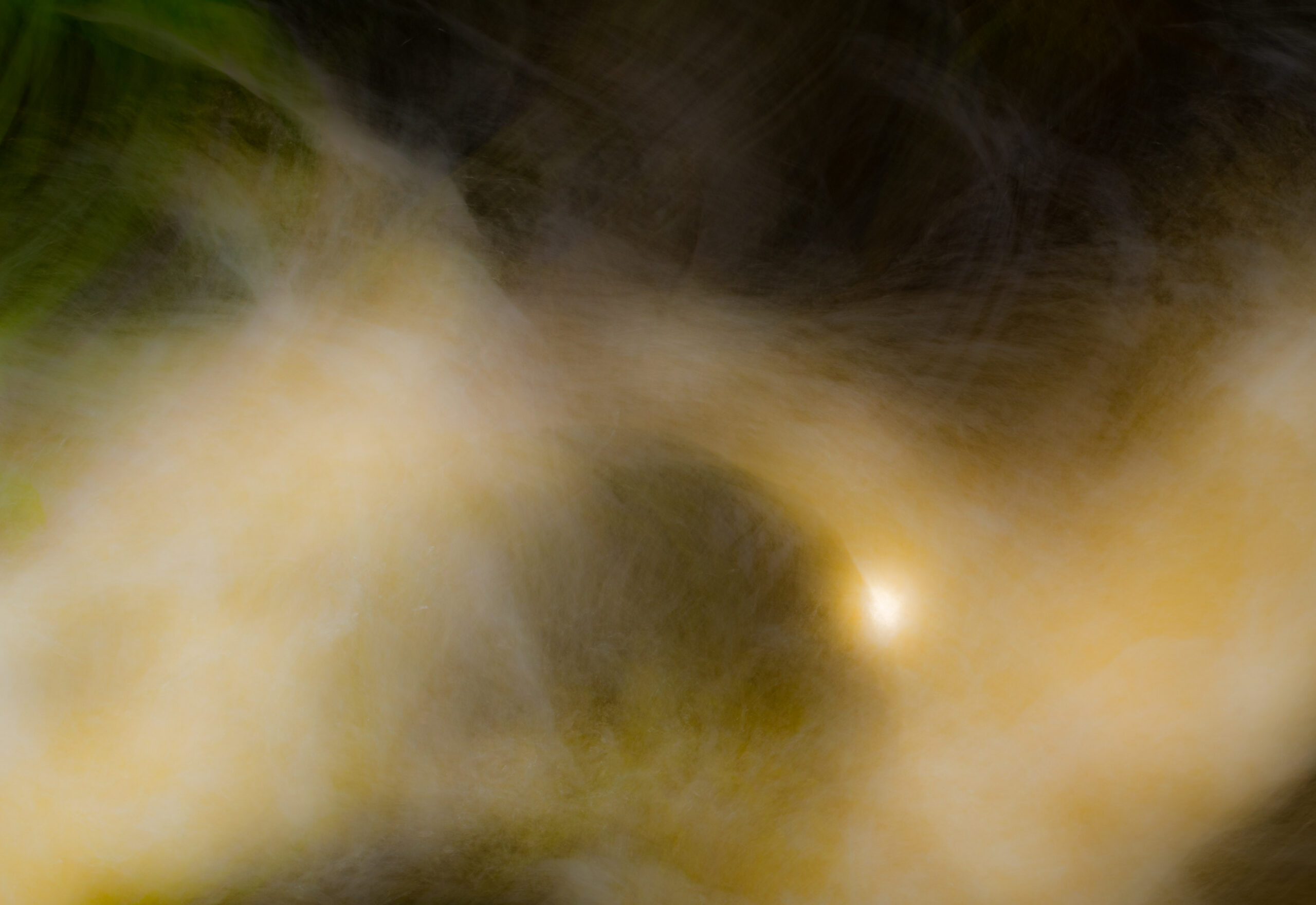 The Entangled Mind
